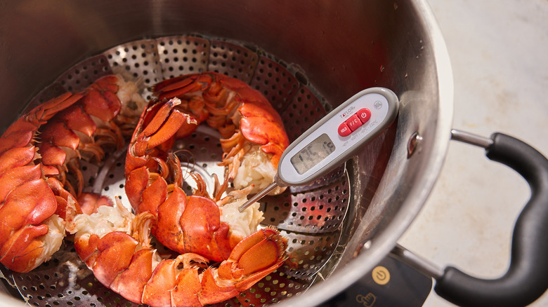 steaming lobster tails in a pot