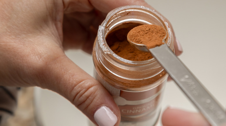 Person's hand holding jar of cinnamon with a measuring spoon filled with cinnamon.