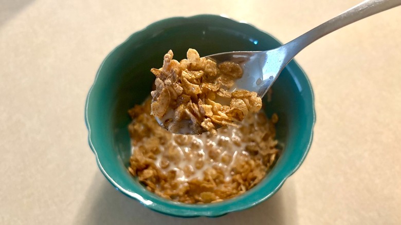 Cinnamon Pebbles cereal on spoon in a bowl