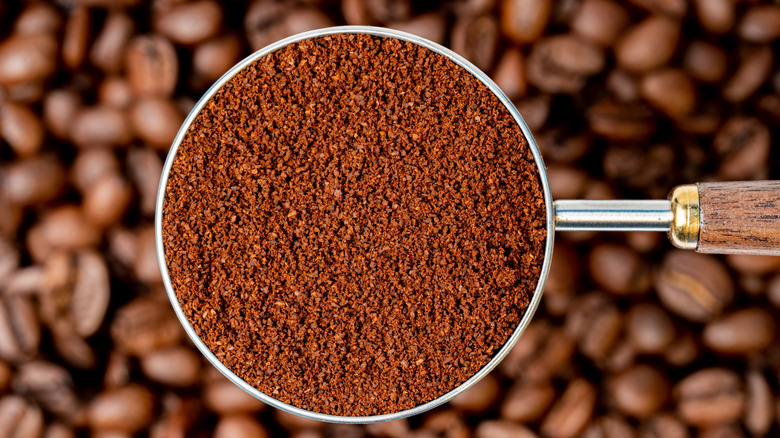 A scoop of ground coffee on top of beans