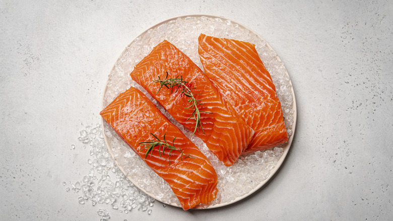 Raw salmon filets on white plate with ice