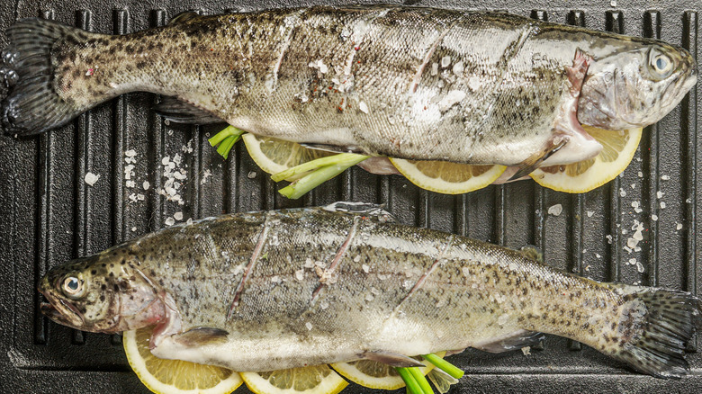 Fish stuffed with slices of lemon on grill