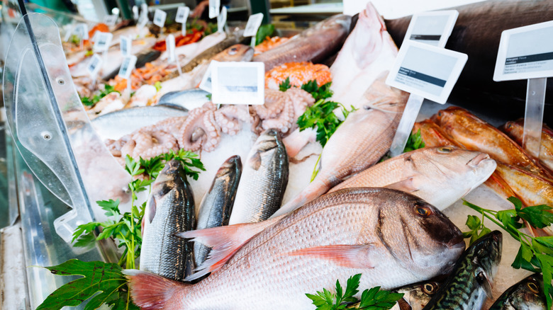 Fresh seafood and fish on display over ice at fish market