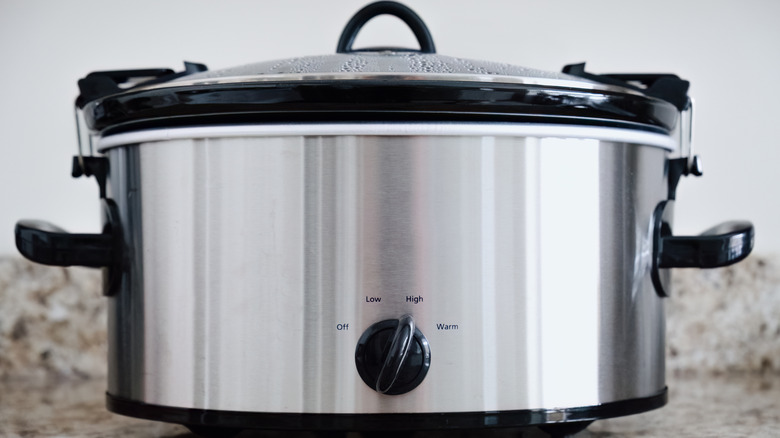 Close-up of a silver slow cooker on a countertop