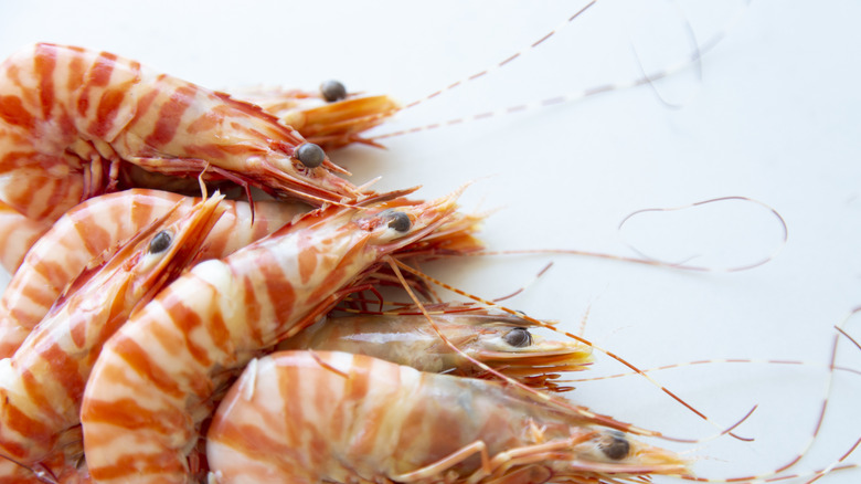 A pile of tiger prawns