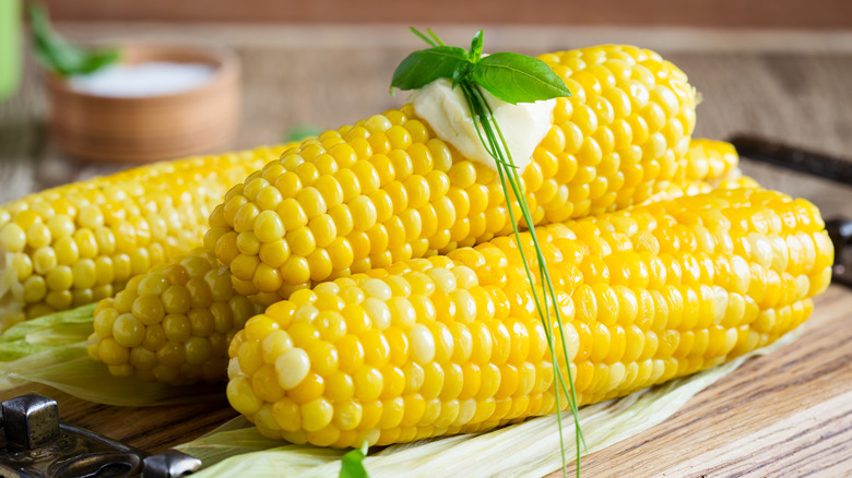 raw corn on the cob prepped with herbs and tied with string, ready to be cooked