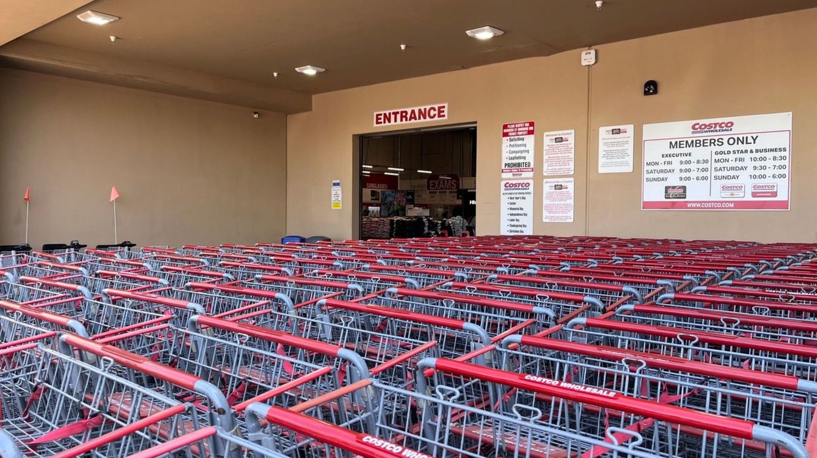 12 Costco Dessert Finds Your Cookout Is Seriously Missing Out On