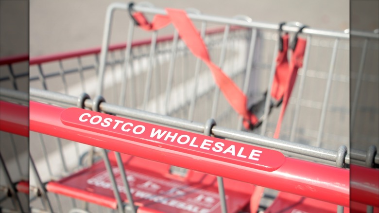 costco wholesale red silver shopping cart close up on costco wholesale writing caption text on handle close up in summer shot on angle