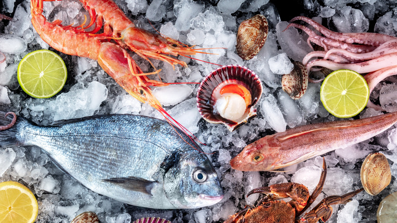 Assorted raw fish and seafood on ice
