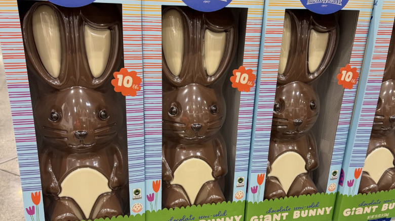 A row of Pete the Bunny chocolate bunnies at Costco