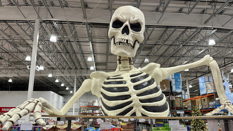 Giant skeleton display at Costco.