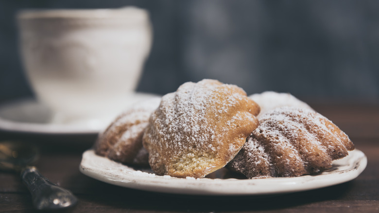 A plate of madeleines sprinkled with powdered sugar with a teacup in the background.