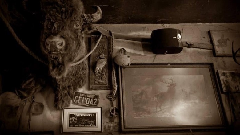 A wall of the Genoa Bar in black and white, featuring the head of a buffalo