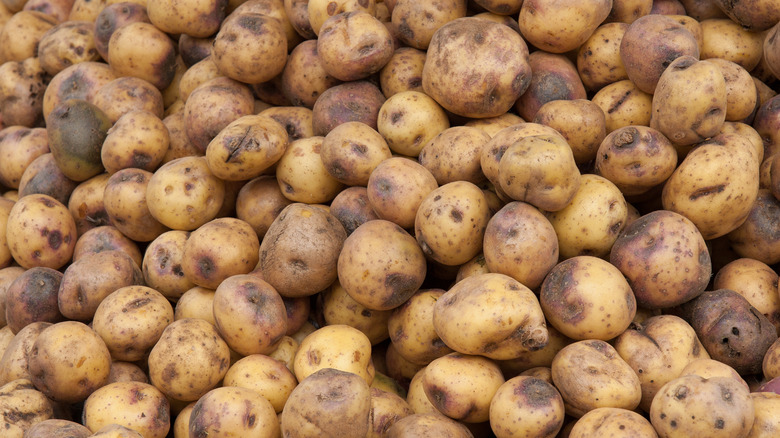 Hundreds of potatoes piled at a farmer's market