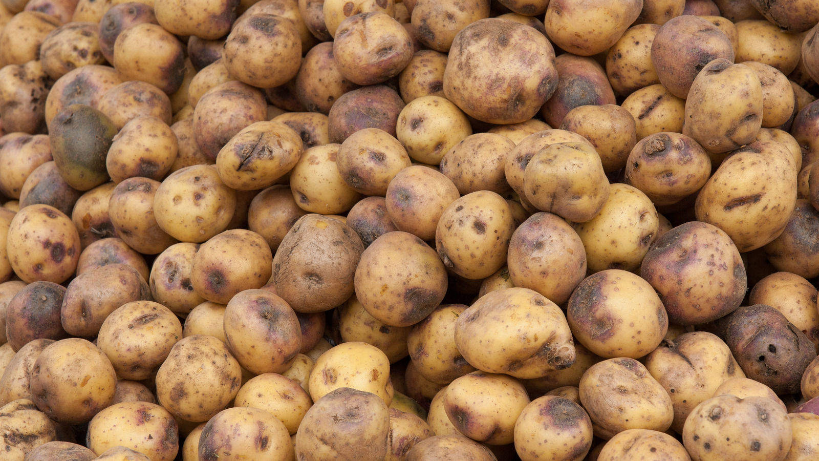 Dark Spots On Your Potatoes? Here's What's Causing Them