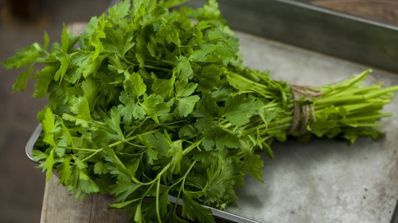 Bunch of fresh parsley sitting in a baking pan.