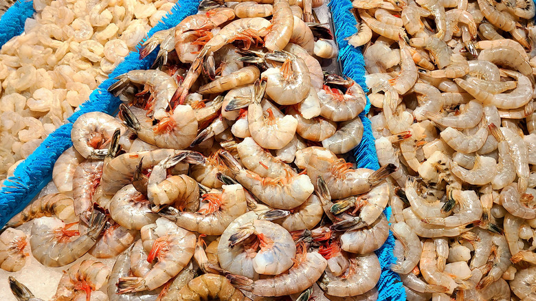 Different sizes of raw shrimp on ice at a store display