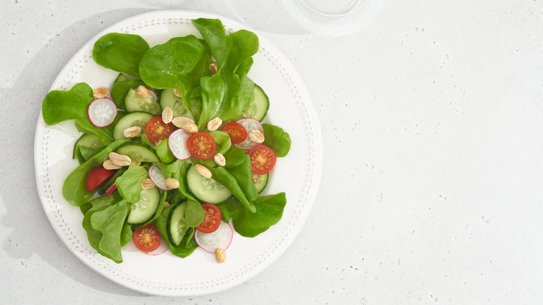 A green salad on a white plate