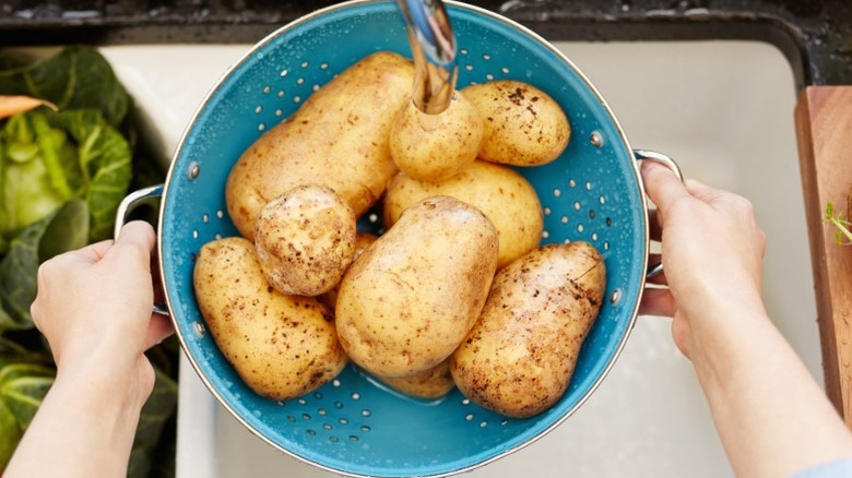 Washing potatoes in a blue colander