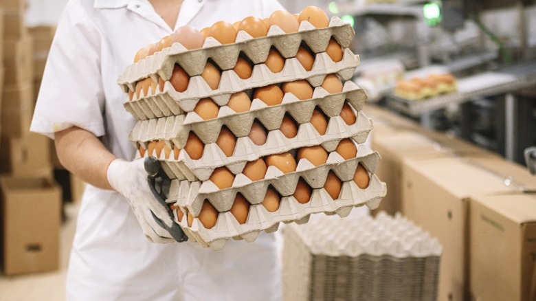 A uniformed worker carrying stack of cartons of eggs in a factory