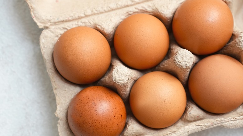 Top view of a small carton of brown chicken eggs