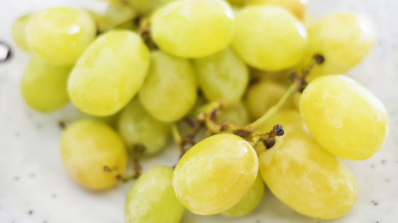 cotton candy grapes closeup