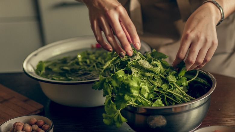 A chef works with herbs in the kitchen