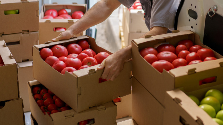 Large cardboard boxes full of fresh produce stacked on top of each other