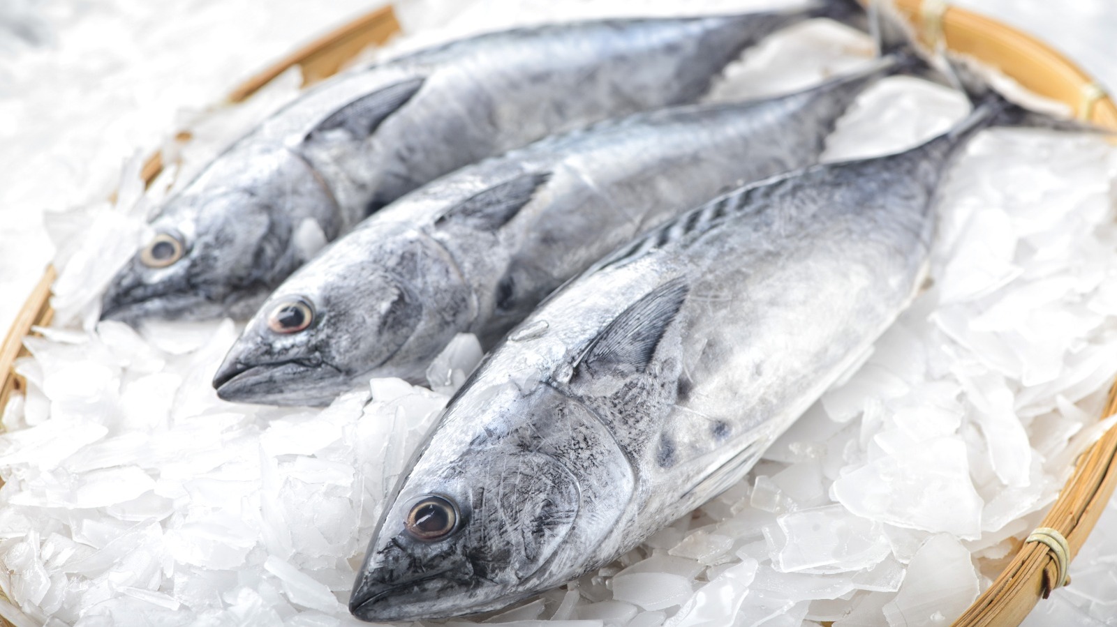 Fish Light Meat Yes, Some Fish Have White Or Dark Meat