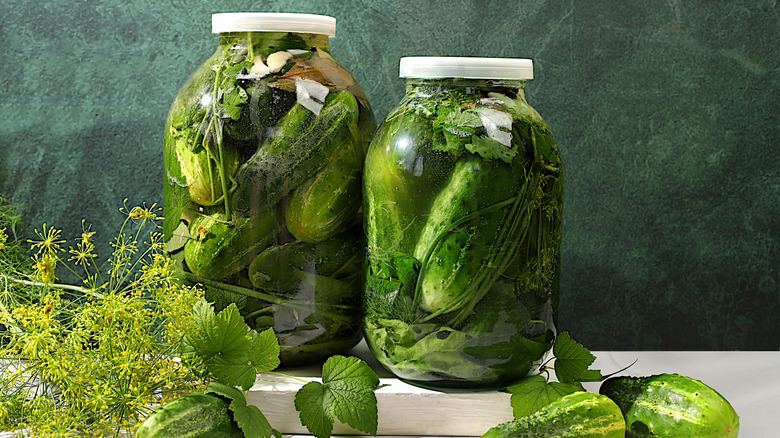 Large jars filled with homemade pickles with cucumbers and herbs in the foreground