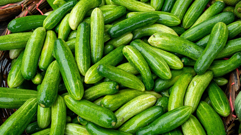 Dozens of whole cucumbers piled on top of each other