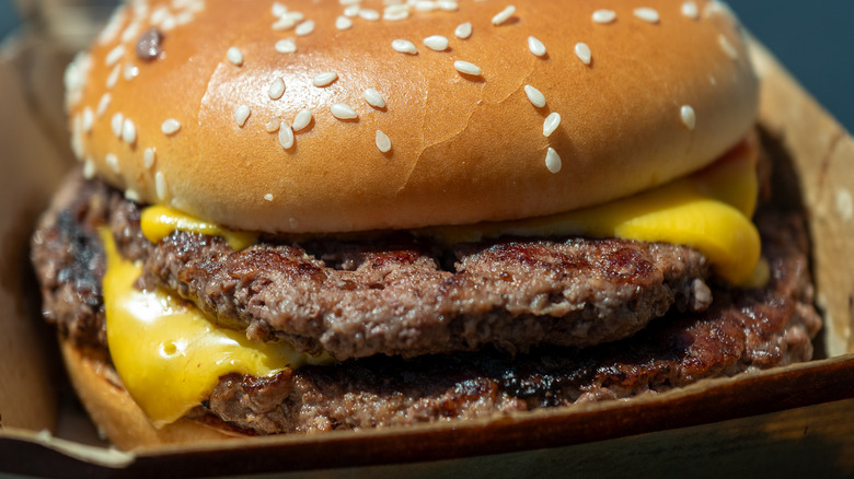 close up of McDonald's cheeseburger