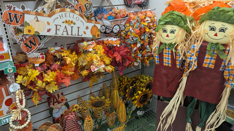 Dollar Tree harvest-themed décor