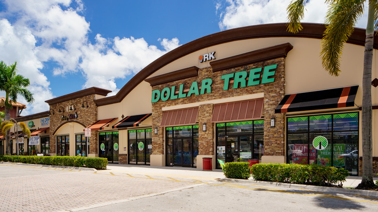 Exterior of a Dollar Tree store in a shopping center