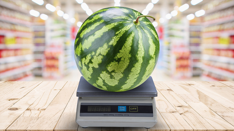 a whole watermelon on a digital scale