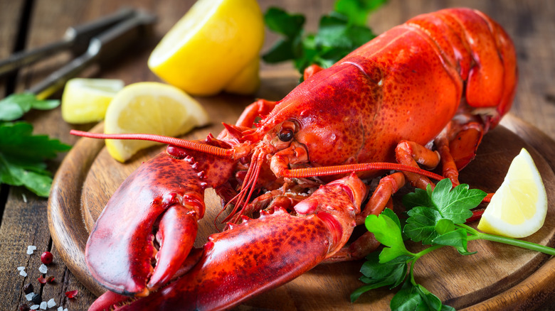whole cooked lobster plated on a cutting board with lemons