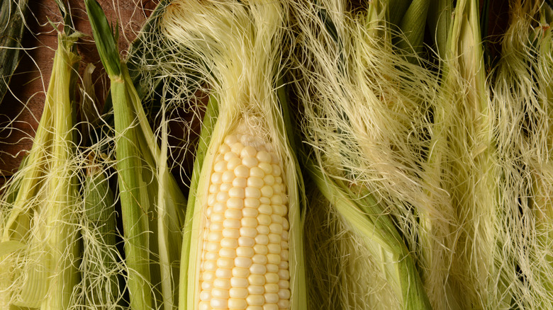 Corn on the cob in their husks with silk attached