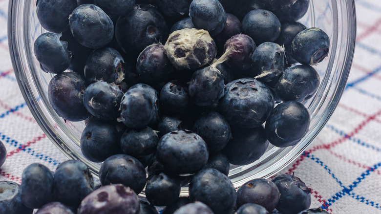 Moldy blueberries falling out of a bowl.
