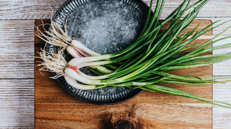 A cluster of scallions on a plate on a wooden cutting board.