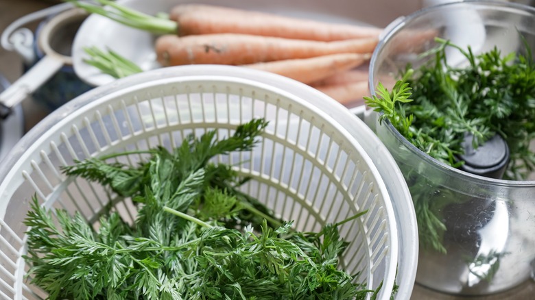 carrot greens in colander and food processor for pesto