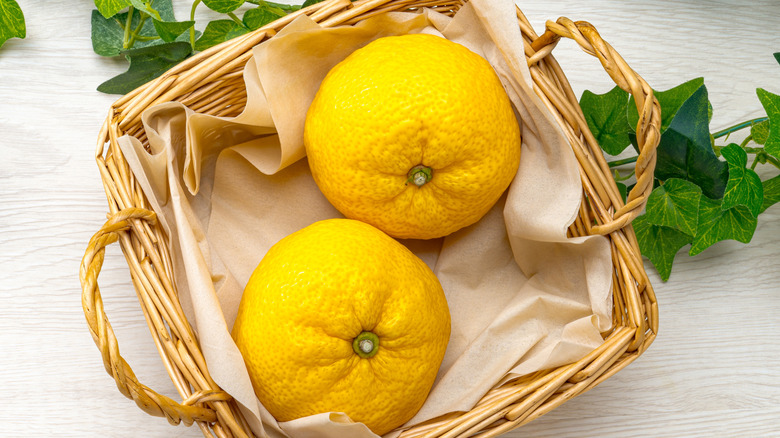 two yuzu in a basket