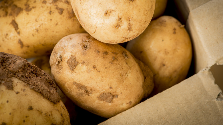 Closeup of a pile of potatoes stored in a cardboard box