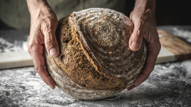hands holding a round loaf of sourdough bread