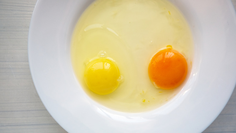 Yellow and orange egg yolks on white plate