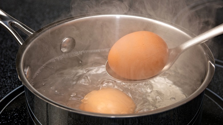 Spoon lifting egg from boiling pot of water
