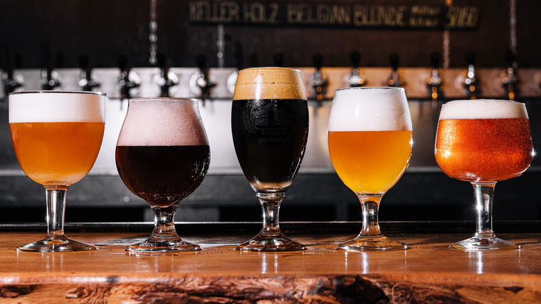 Assorted glasses of draft beer on wooden bar counter