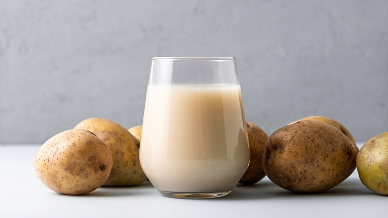 Potato milk in a glass surrounded by russet potatoes