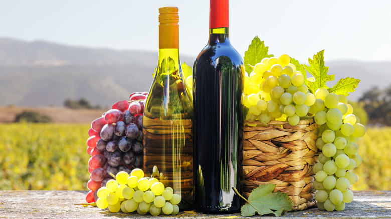 Two bottles of wine and a basket of grapes in front of a vineyard