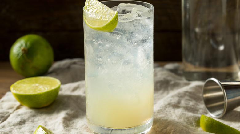 A gin rickey cocktail with limes