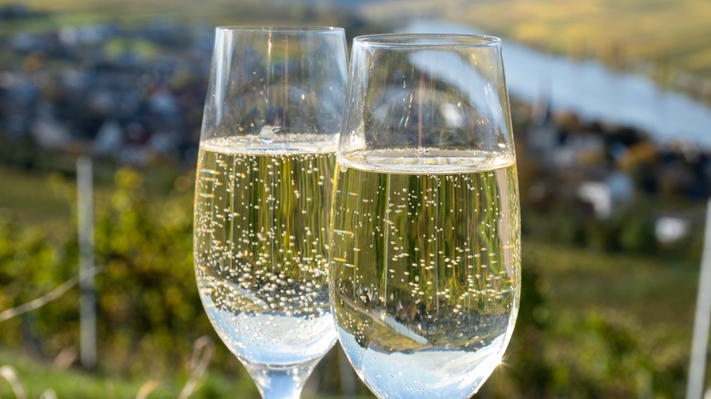 Two glasses of Cremant overlooking a vineyard